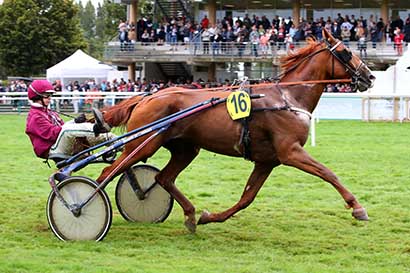 Photo d'arrivée de la course pmu PRIX TENOR DE BAUNE (PRIX DES TRANSPORTS GILLOIS) à CRAON le Lundi 2 septembre 2024