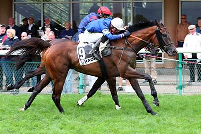 Photo d'arrivée de la course pmu PRIX OUEST-FRANCE (PRIX FINEAU) à CRAON le Lundi 2 septembre 2024