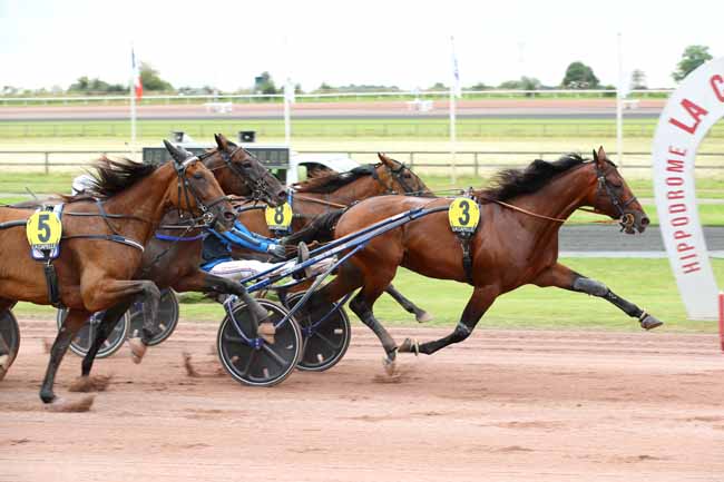 Photo d'arrivée de la course pmu GRAND PRIX DE LA FEDERATION REGIONALE DU NORD à LA CAPELLE le Mercredi 4 septembre 2024