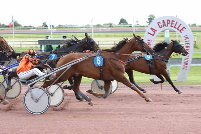 Photo d'arrivée de la course pmu PRIX DE LA COMMUNAUTE DE COMMUNES DE LA THIERACHE DU CENTRE à LA CAPELLE le Mercredi 4 septembre 2024