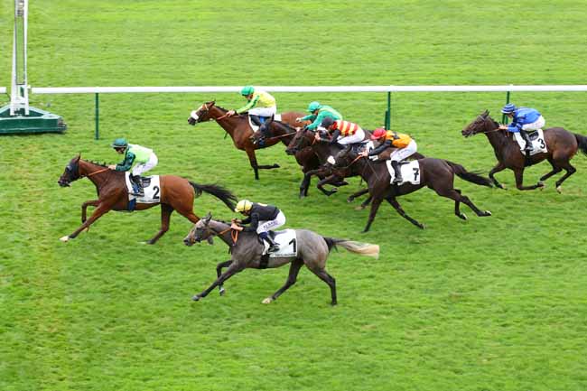 Photo d'arrivée de la course pmu PRIX DE CHARONNE à LONGCHAMP le Jeudi 5 septembre 2024