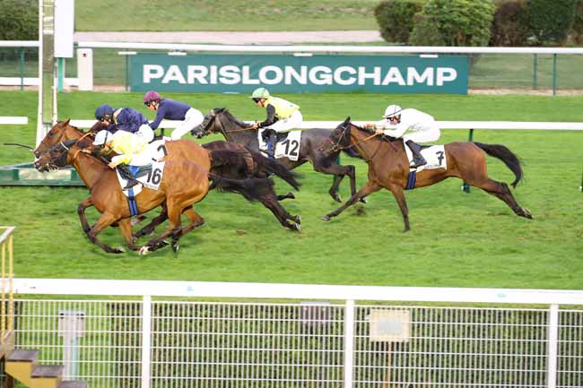 Photo d'arrivée de la course pmu PRIX DE L'ALLEE DES BROUILLARDS à LONGCHAMP le Jeudi 5 septembre 2024