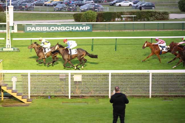 Photo d'arrivée de la course pmu PRIX DE LA RUE DES SAULES à LONGCHAMP le Jeudi 5 septembre 2024
