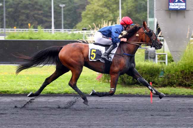 Photo d'arrivée de la course pmu PRIX DE BIHOREL à PARIS-VINCENNES le Jeudi 5 septembre 2024