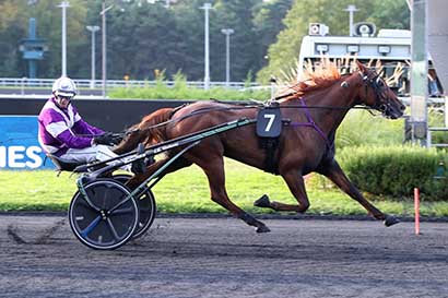 Photo d'arrivée de la course pmu PRIX ADELINDA à PARIS-VINCENNES le Vendredi 6 septembre 2024