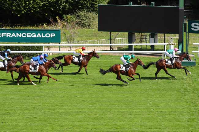 Photo d'arrivée de la course pmu PRIX KENDOR à SAINT CLOUD le Vendredi 6 septembre 2024
