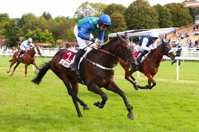 Photo d'arrivée de la course pmu PRIX FRANCE TRAVAIL HONFLEUR (PRIX OFFEMONT) à CLAIREFONTAINE le Vendredi 6 septembre 2024