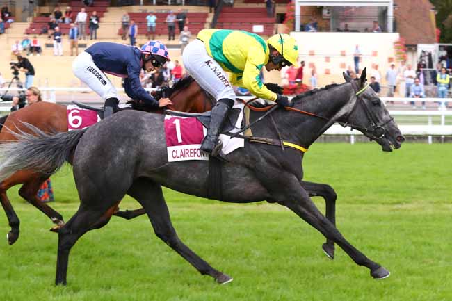 Photo d'arrivée de la course pmu PRIX AFASEC (PRIX D'ANGLET) à CLAIREFONTAINE le Vendredi 6 septembre 2024