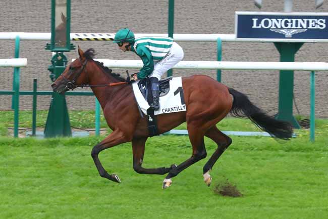 Photo d'arrivée de la course pmu PRIX DES AIGLES à CHANTILLY le Samedi 7 septembre 2024