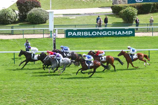 Photo d'arrivée de la course pmu PRIX LA ROCHETTE à LONGCHAMP le Dimanche 8 septembre 2024