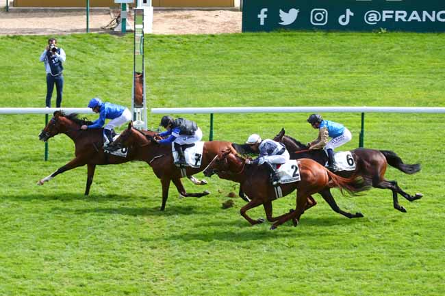 Photo d'arrivée de la course pmu PRIX DU PRINCE D'ORANGE à LONGCHAMP le Dimanche 8 septembre 2024