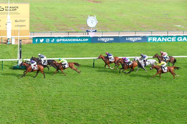 Photo d'arrivée de la course pmu PRIX DE BOLIVAR à LONGCHAMP le Dimanche 8 septembre 2024