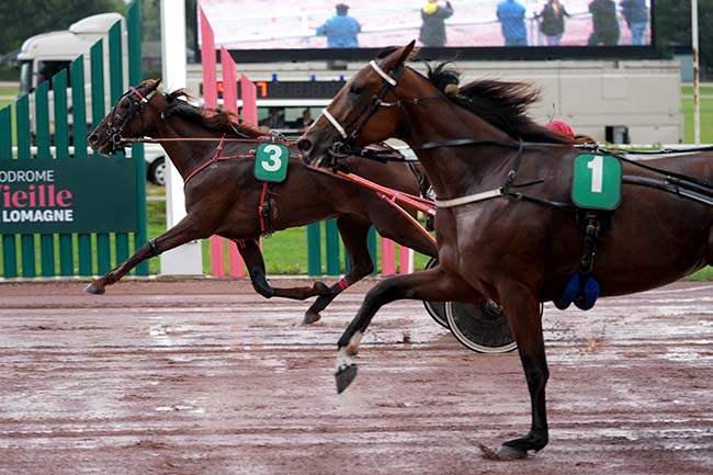 Photo d'arrivée de la course pmu PRIX «LA DEPECHE DU MIDI» à BEAUMONT DE LOMAGNE le Lundi 9 septembre 2024