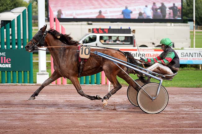 Photo d'arrivée de la course pmu PRIX DE L'ASSOCIATION DES EXPERTS COMPTABLES 82 à BEAUMONT DE LOMAGNE le Lundi 9 septembre 2024