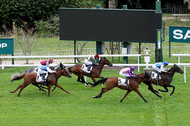 Photo d'arrivée de la course pmu PRIX KELTOS à SAINT CLOUD le Lundi 9 septembre 2024