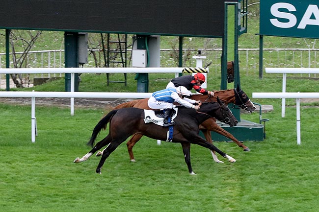 Photo d'arrivée de la course pmu PRIX TOPYO à SAINT CLOUD le Lundi 9 septembre 2024