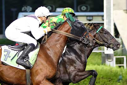 Photo d'arrivée de la course pmu PRIX MENKAR à PARIS-VINCENNES le Mardi 10 septembre 2024