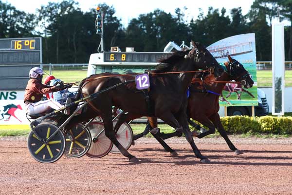 Photo d'arrivée de la course pmu PRIX BOBET MATERIEL à LE MANS le Mercredi 11 septembre 2024