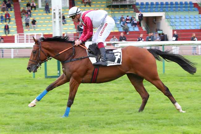 Photo d'arrivée de la course pmu PRIX DE PORNIC à COMPIEGNE le Mercredi 11 septembre 2024