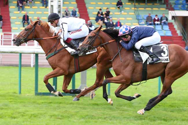 Photo d'arrivée de la course pmu PRIX NUAGE à COMPIEGNE le Mercredi 11 septembre 2024