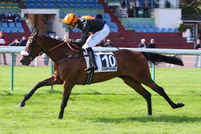 Photo d'arrivée de la course pmu PRIX ROMAN OAK à COMPIEGNE le Mercredi 11 septembre 2024