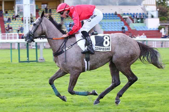 Photo d'arrivée de la course pmu PRIX SUMMIT à COMPIEGNE le Mercredi 11 septembre 2024