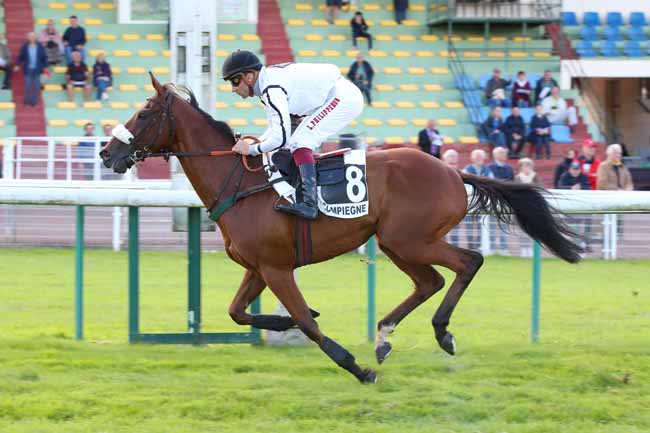 Photo d'arrivée de la course pmu PRIX WORLD CITIZEN à COMPIEGNE le Mercredi 11 septembre 2024