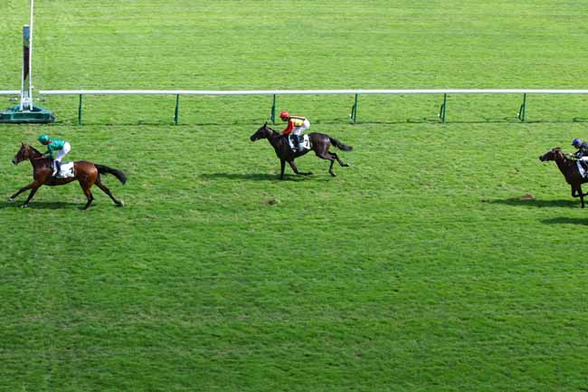 Photo d'arrivée de la course pmu PRIX D'AUMALE à LONGCHAMP le Jeudi 12 septembre 2024