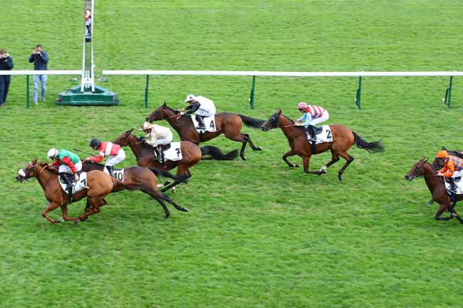 Photo d'arrivée de la course pmu PRIX ERNEST LEROY à LONGCHAMP le Jeudi 12 septembre 2024