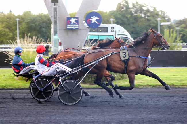 Photo d'arrivée de la course pmu PRIX OPHELIA à PARIS-VINCENNES le Vendredi 13 septembre 2024