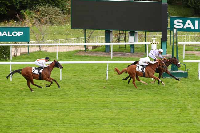Photo d'arrivée de la course pmu PRIX SANCTUS à SAINT CLOUD le Vendredi 13 septembre 2024