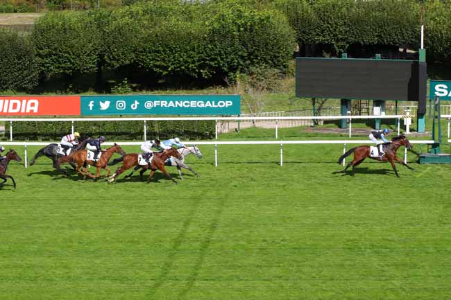Photo d'arrivée de la course pmu PRIX FITERARI à SAINT CLOUD le Vendredi 13 septembre 2024