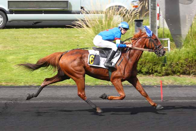Photo d'arrivée de la course pmu PRIX ASSOCIATION PASSERELLE (PRIX KOZYR) à PARIS-VINCENNES le Samedi 14 septembre 2024