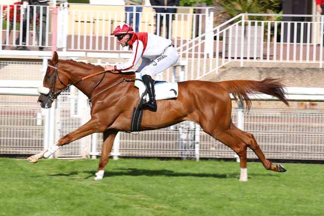 Photo d'arrivée de la course pmu PRIX FINOT (POULAINS) - PELOTON A à AUTEUIL le Samedi 14 septembre 2024