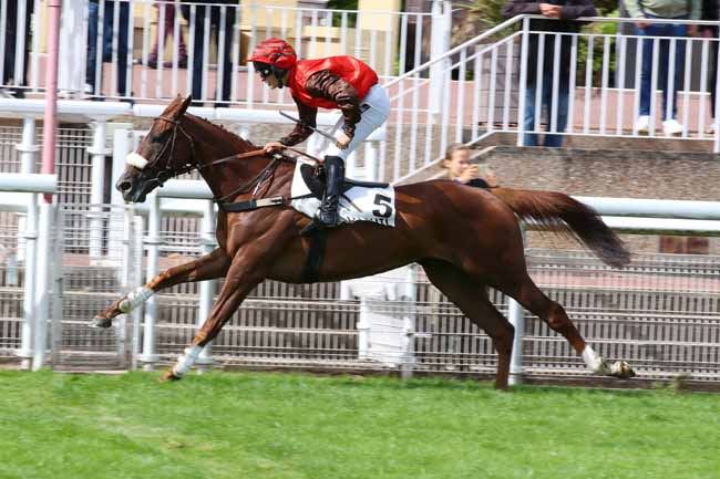 Photo d'arrivée de la course pmu PRIX CADOUDAL à AUTEUIL le Samedi 14 septembre 2024