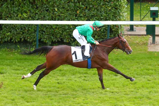 Photo d'arrivée de la course pmu PRIX DE LA PISTE RODOSTO à CHANTILLY le Lundi 16 septembre 2024