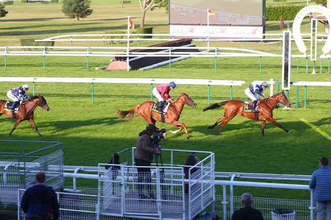 Photo d'arrivée de la course pmu PRIX DE L'AISNE à COMPIEGNE le Mardi 17 septembre 2024
