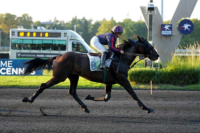 Photo d'arrivée de la course pmu PRIX VELLEDA à PARIS-VINCENNES le Mardi 17 septembre 2024