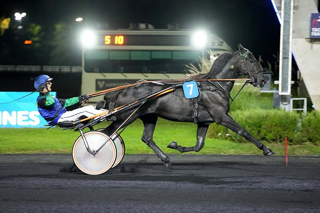 Photo d'arrivée de la course pmu PRIX SAGITTA à PARIS-VINCENNES le Mardi 17 septembre 2024