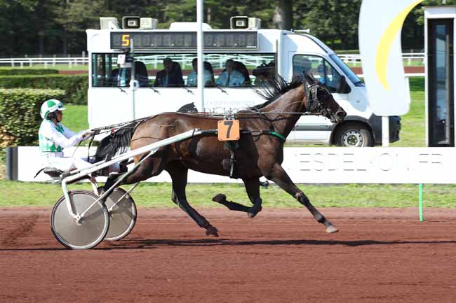 Photo d'arrivée de la course pmu MFR DU FOREZ - PRIX DE TOULOUSE à LYON PARILLY le Mercredi 18 septembre 2024