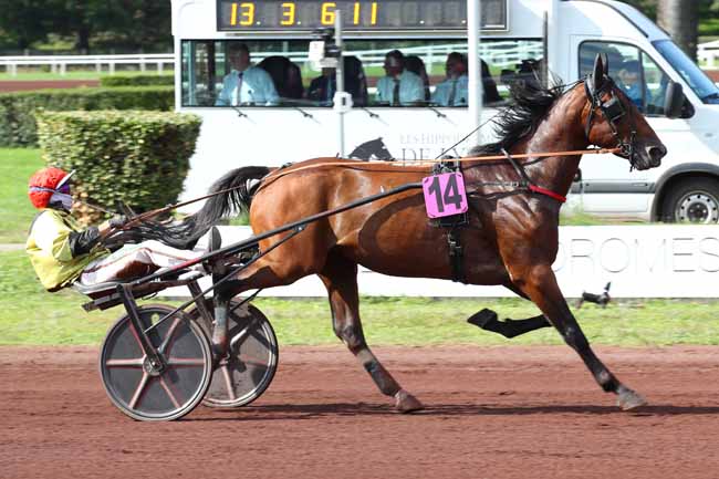 Photo d'arrivée de la course pmu PRIX DE BEAUMONT-DE-LOMAGNE à LYON PARILLY le Mercredi 18 septembre 2024