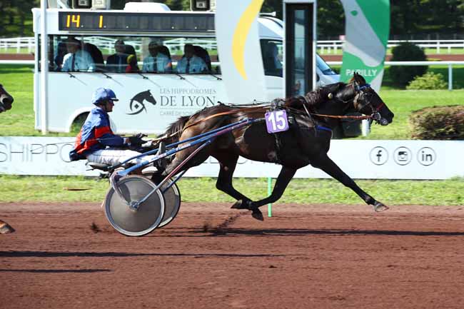 Photo d'arrivée de la course pmu PRIX DE GROSBOIS à LYON PARILLY le Mercredi 18 septembre 2024
