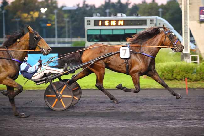 Photo d'arrivée de la course pmu PRIX EROS à PARIS-VINCENNES le Vendredi 20 septembre 2024