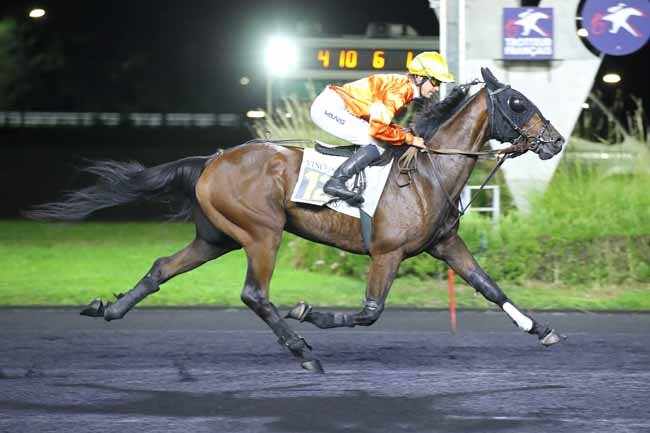 Photo d'arrivée de la course pmu PRIX ARTEMIS à PARIS-VINCENNES le Vendredi 20 septembre 2024