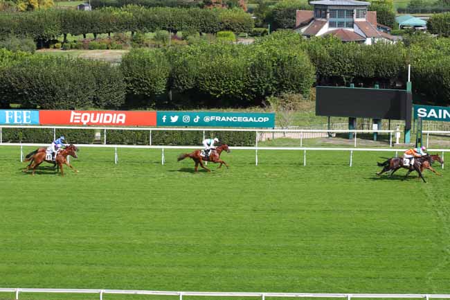 Photo d'arrivée de la course pmu PRIX ORTIE BLANCHE à SAINT CLOUD le Vendredi 20 septembre 2024