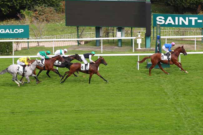 Photo d'arrivée de la course pmu PRIX AMONITA à SAINT CLOUD le Vendredi 20 septembre 2024