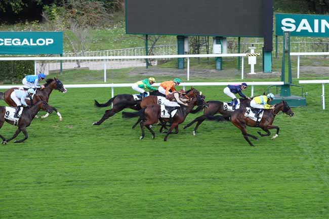 Photo d'arrivée de la course pmu PRIX DE DAVRON à SAINT CLOUD le Vendredi 20 septembre 2024