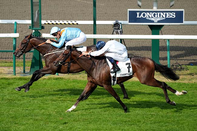 Photo d'arrivée de la course pmu PRIX DE CONDE à CHANTILLY le Samedi 21 septembre 2024