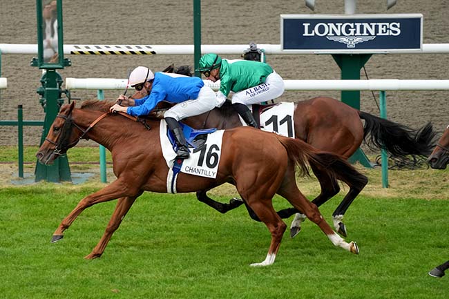 Photo d'arrivée de la course pmu PRIX DE LA GALERIE DES BATAILLES à CHANTILLY le Samedi 21 septembre 2024