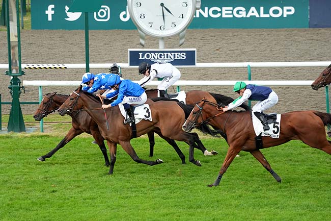 Photo d'arrivée de la course pmu PRIX BERTRAND DE TARRAGON à CHANTILLY le Samedi 21 septembre 2024